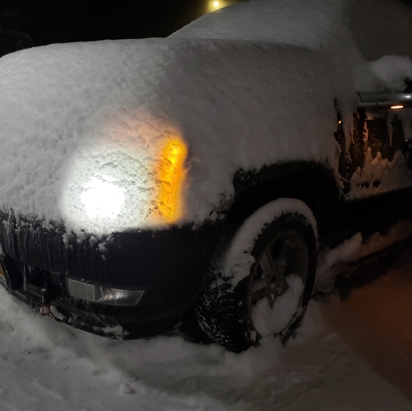 Meet your Posher, Terter - Picture 16 of 16